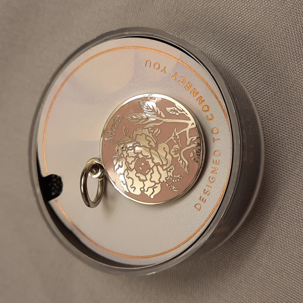 Alex and Ani Mom Chain Station Charm